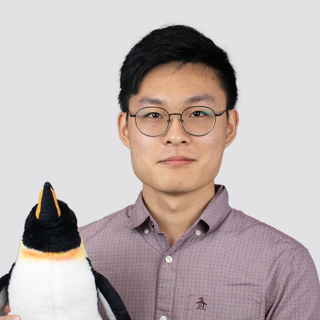 Jiasen Zhang - Fun