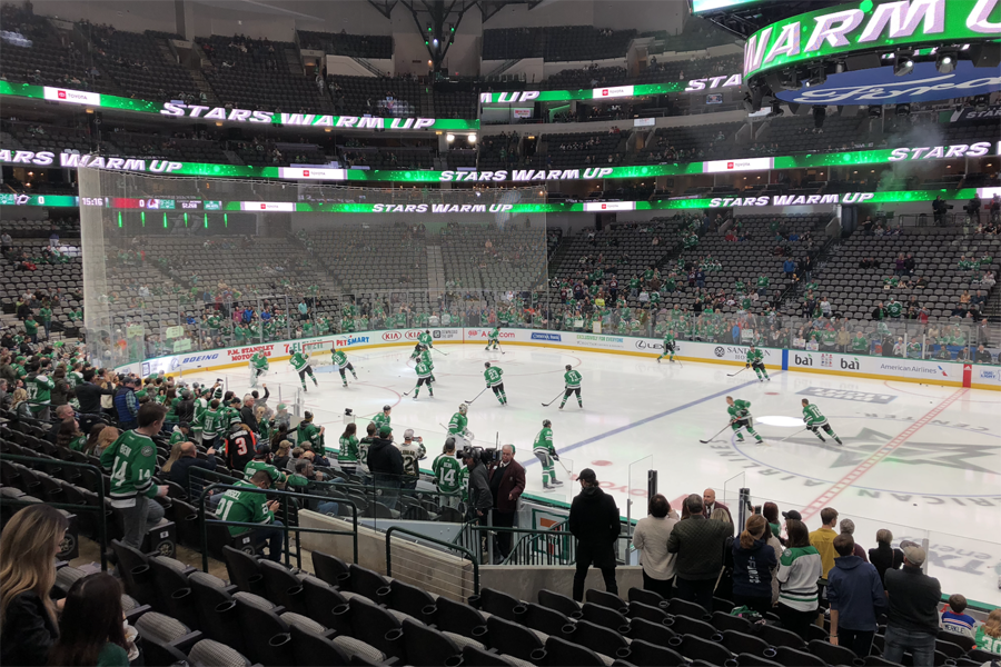 Dallas Stars hockey team on the ice