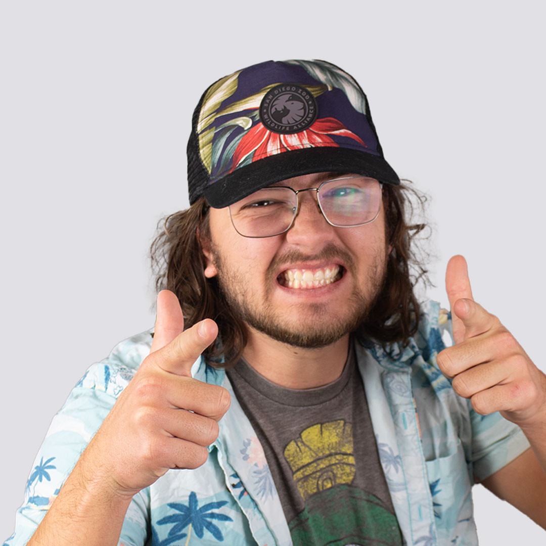 David Salzmann - Fun