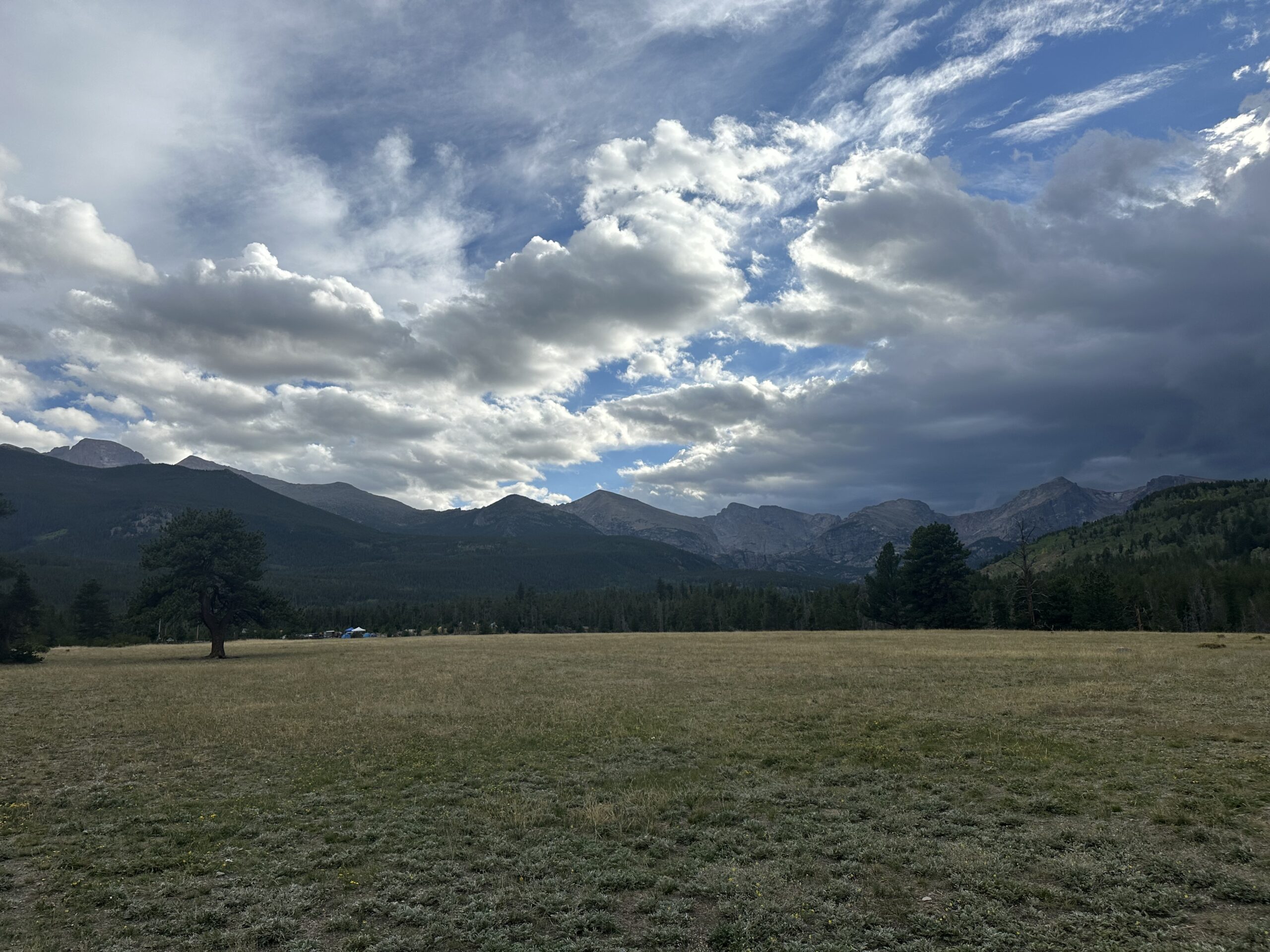 Rocky Mountain National Park field
