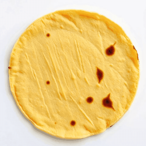 Gif cycling through AI-generated tortilla defects