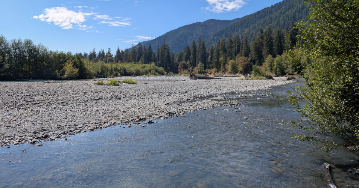 Olympic National Park beach