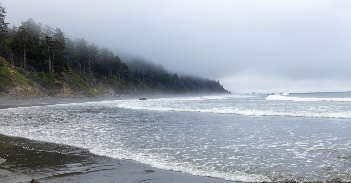 Olympic National Park beach