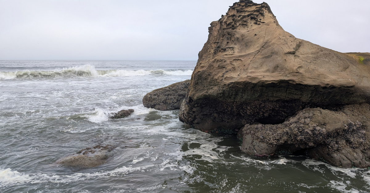 Pacific Ocean Olympic National Park