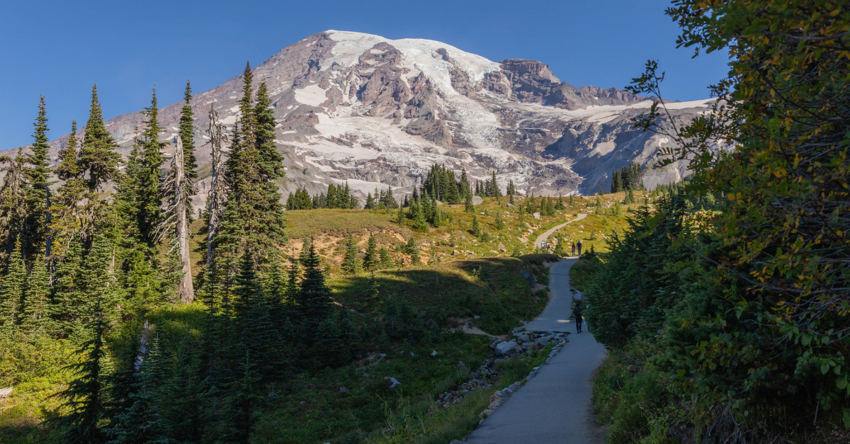 Base of Mount Rainier