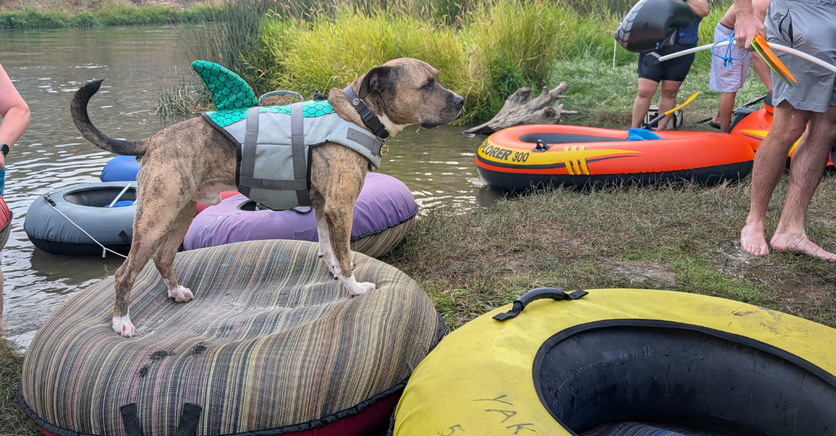 Nooner standing on an inflatable on Yakima River bank