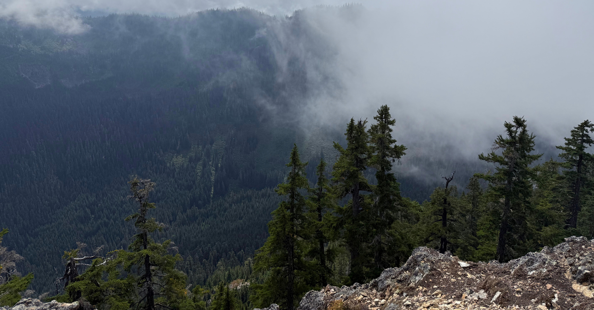 View from Mount Catherine