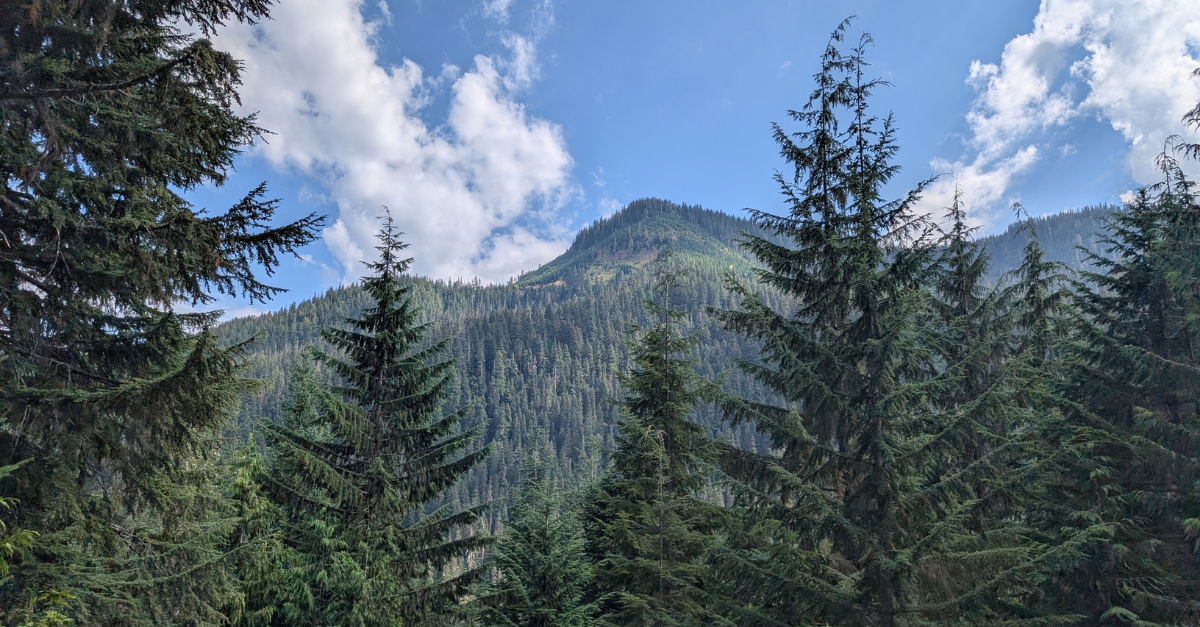 View from the base of Mount Catherine