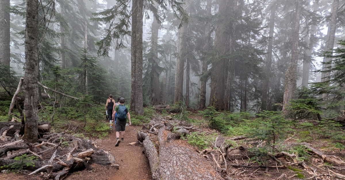 Mount Catherine hike